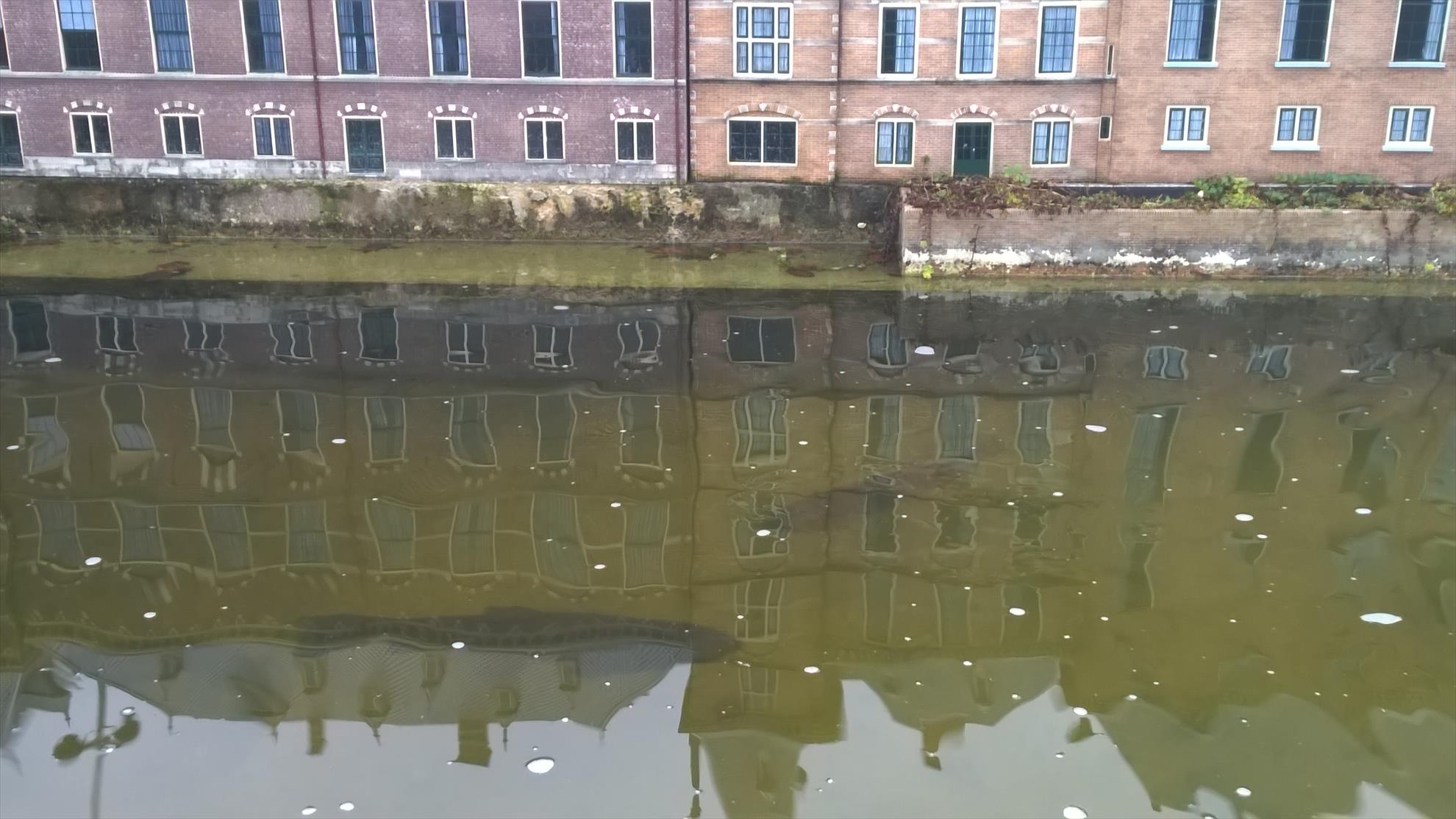 Crapi mutanti - wp20141029330.jpg